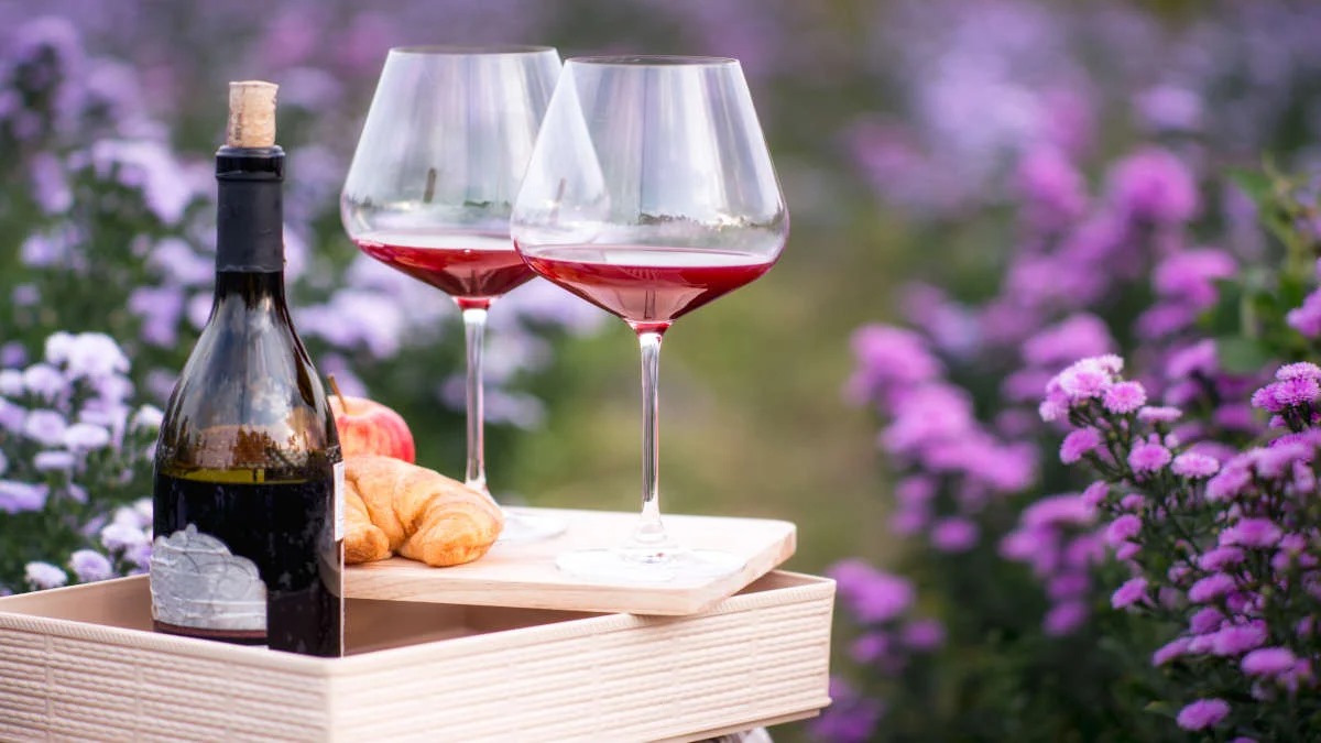 How a Winery Membership Deepens Your Appreciation for Local Wine